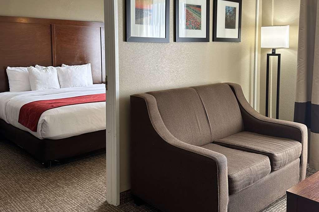 Comfort Suites Airport Charlotte Pokój zdjęcie